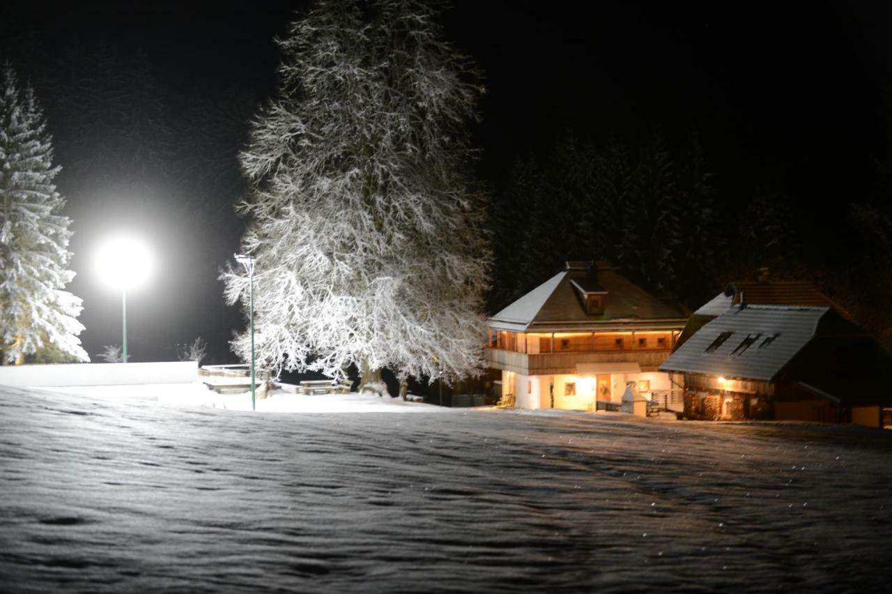 Vila Urlaubsalm Kreuth 6 Liebenfels Exteriér fotografie